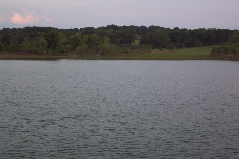 Lake Texoma shoreline in Grayson County - waterfront property inspection area